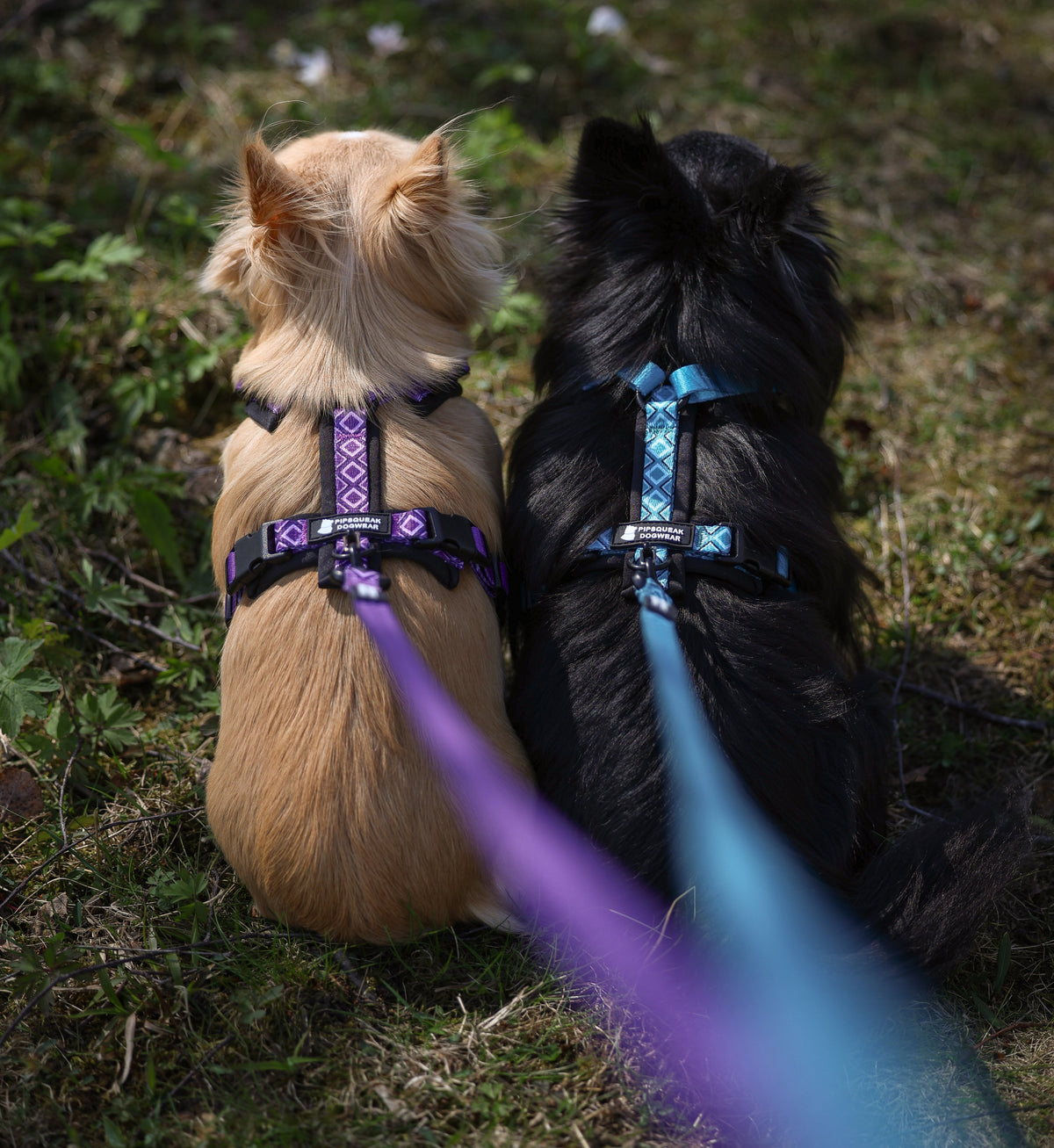 TrailGo Harness
