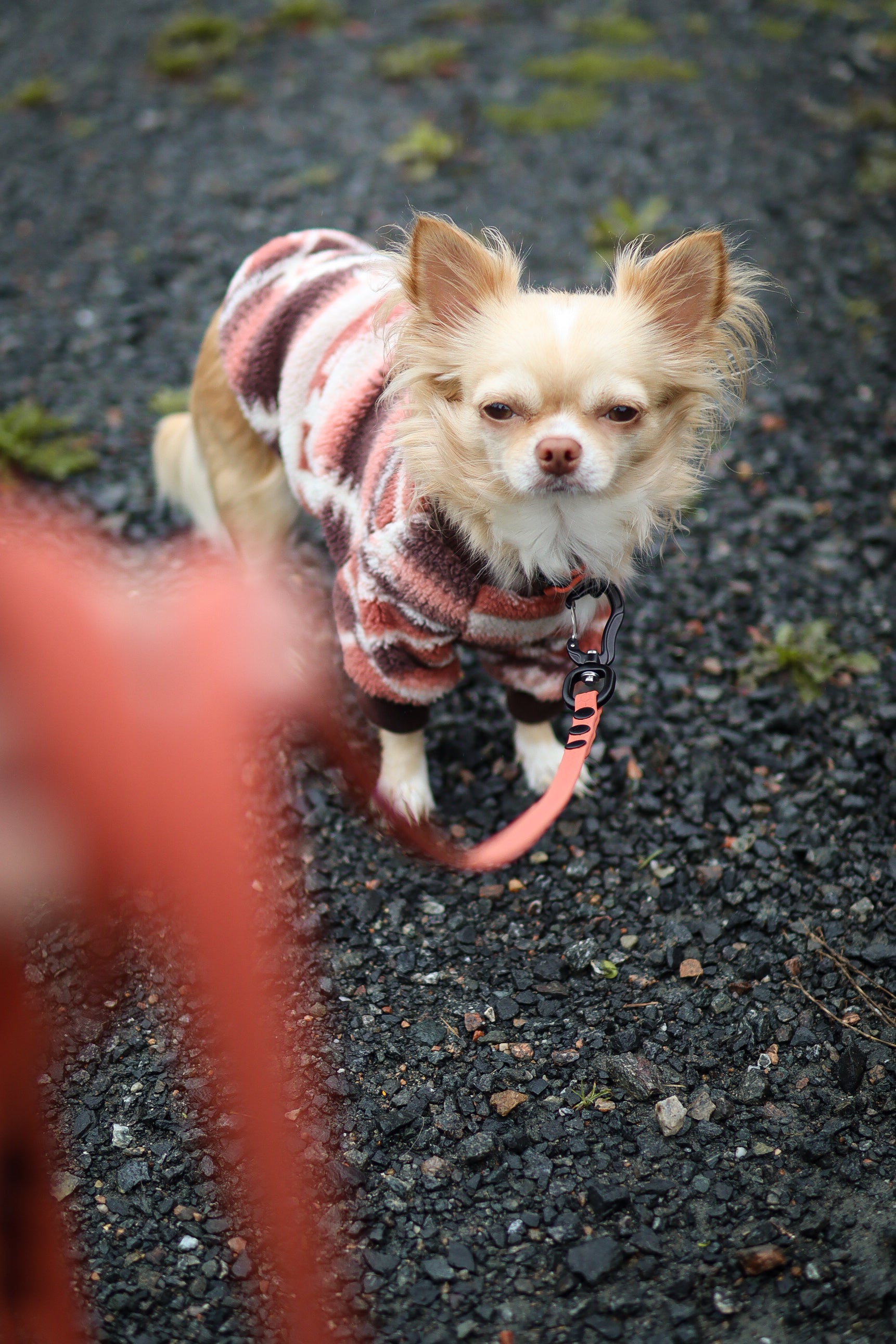 16mm Heavy Duty leash