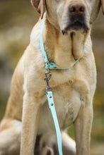 Load image into Gallery viewer, Choke collar
