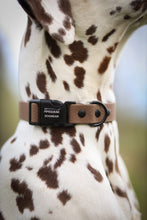 Load image into Gallery viewer, Rally collar
