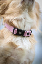 Load image into Gallery viewer, Rally collar

