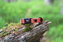 Load image into Gallery viewer, Rally collar
