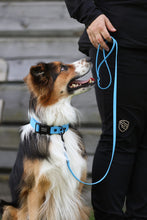 Load image into Gallery viewer, Rally collar
