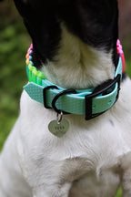 Pastel Rainbow Paracord