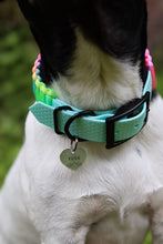 Load image into Gallery viewer, Pastel Rainbow Paracord
