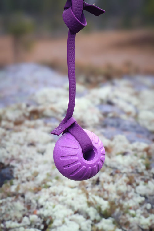 7cm Purple Foam Ball