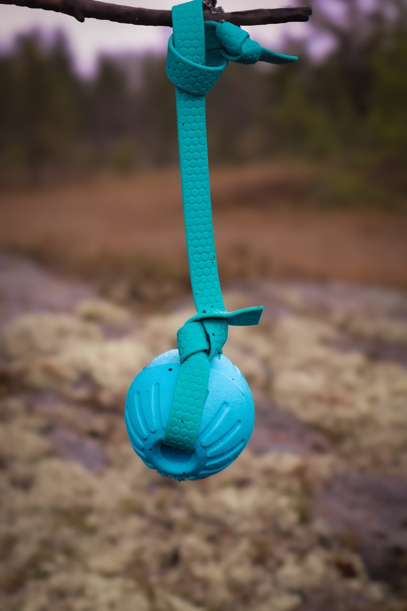 Teal Foam Ball
