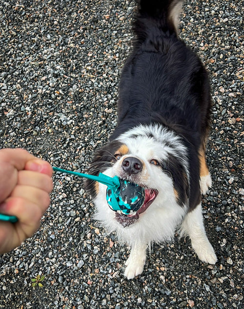 7cm Teal Camo Foam Ball