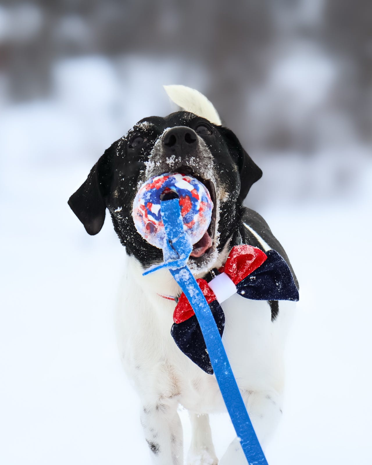 7cm National Foam Ball