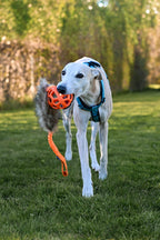 Spider ball