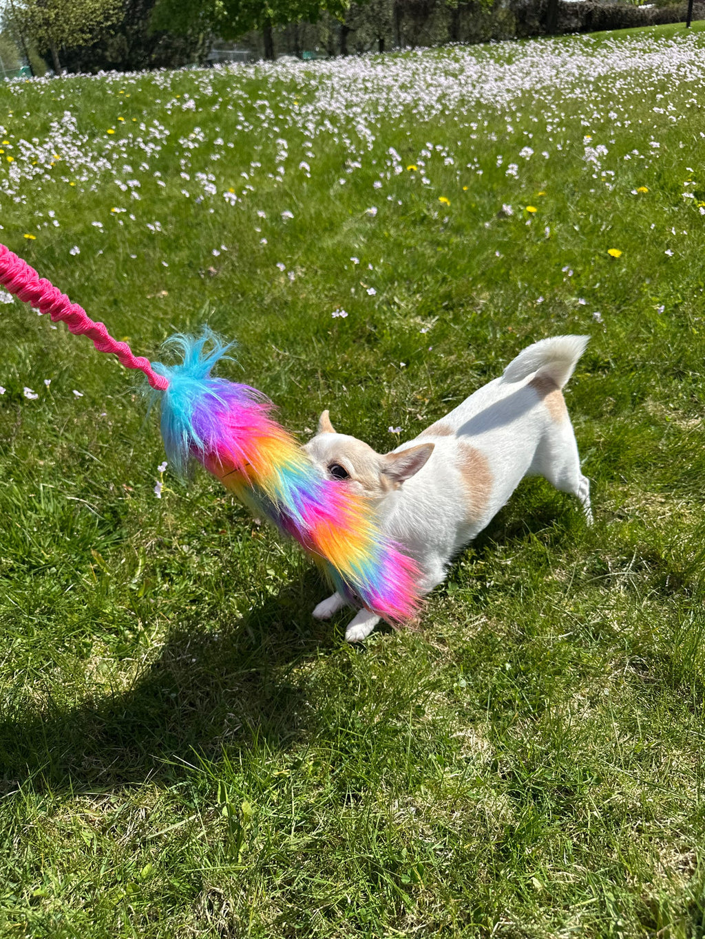 Rainbow fluff