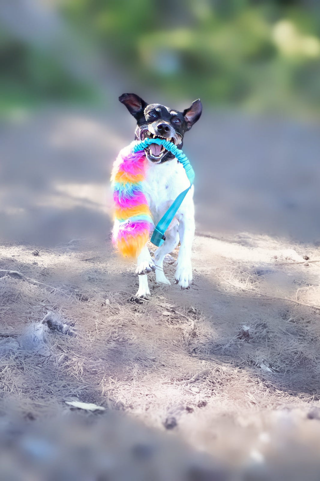 Rainbow fluff