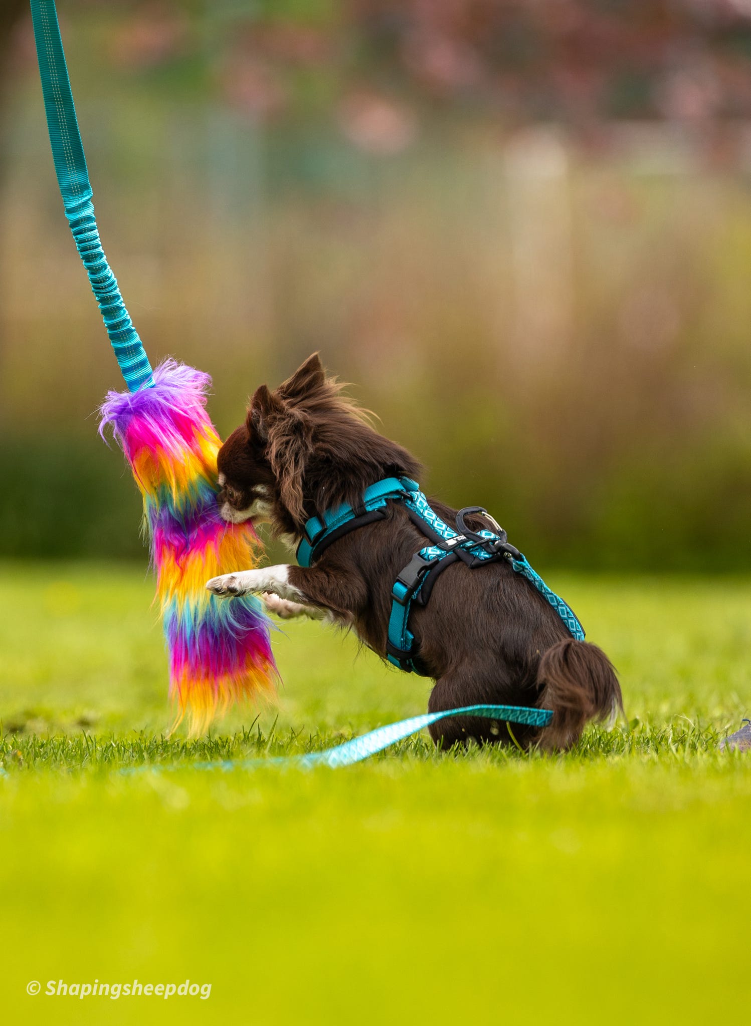 Rainbow fluff