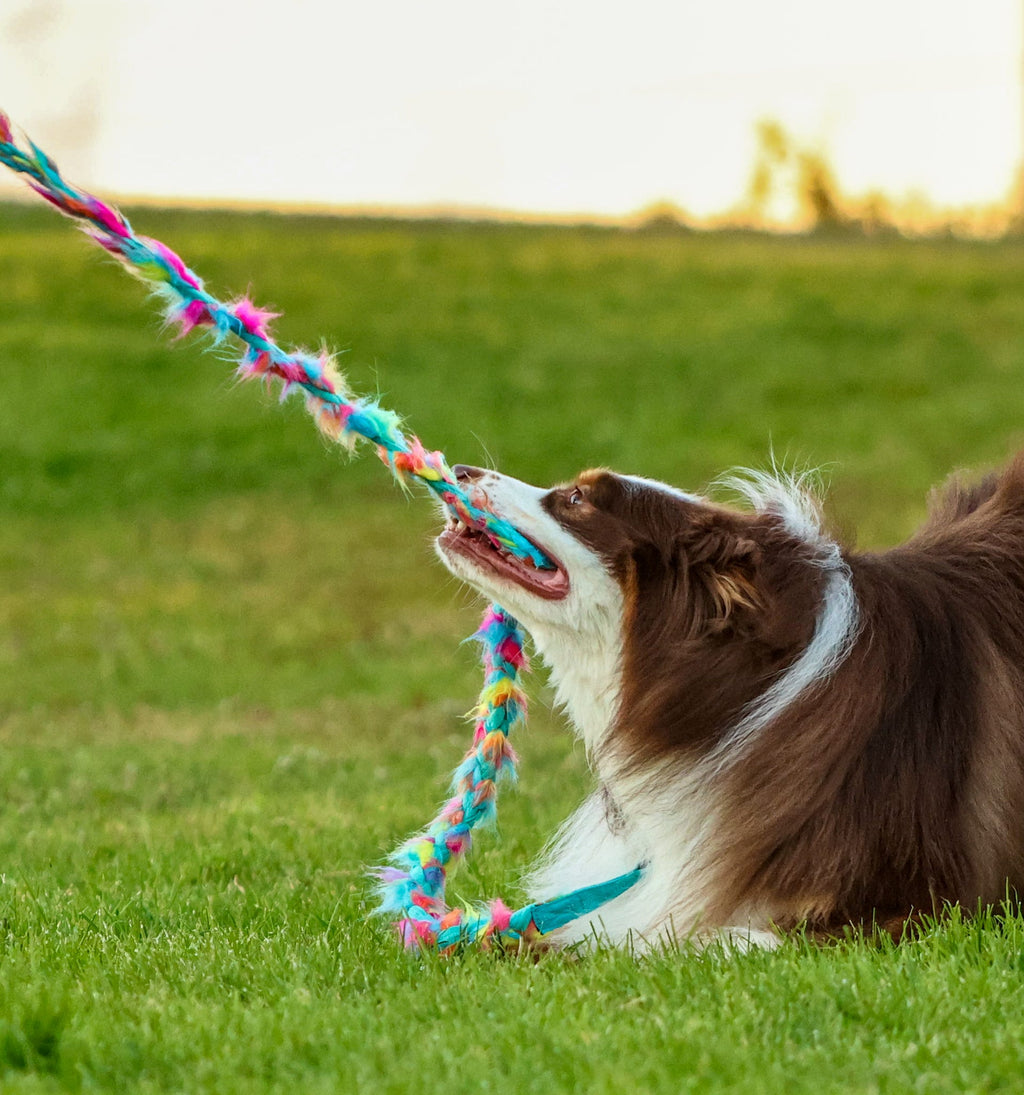 Play Leash