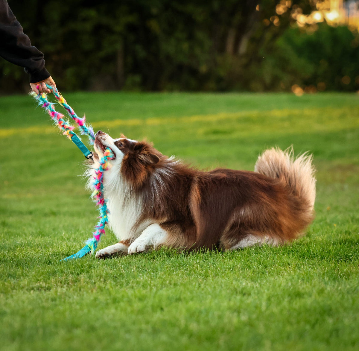 Play Leash