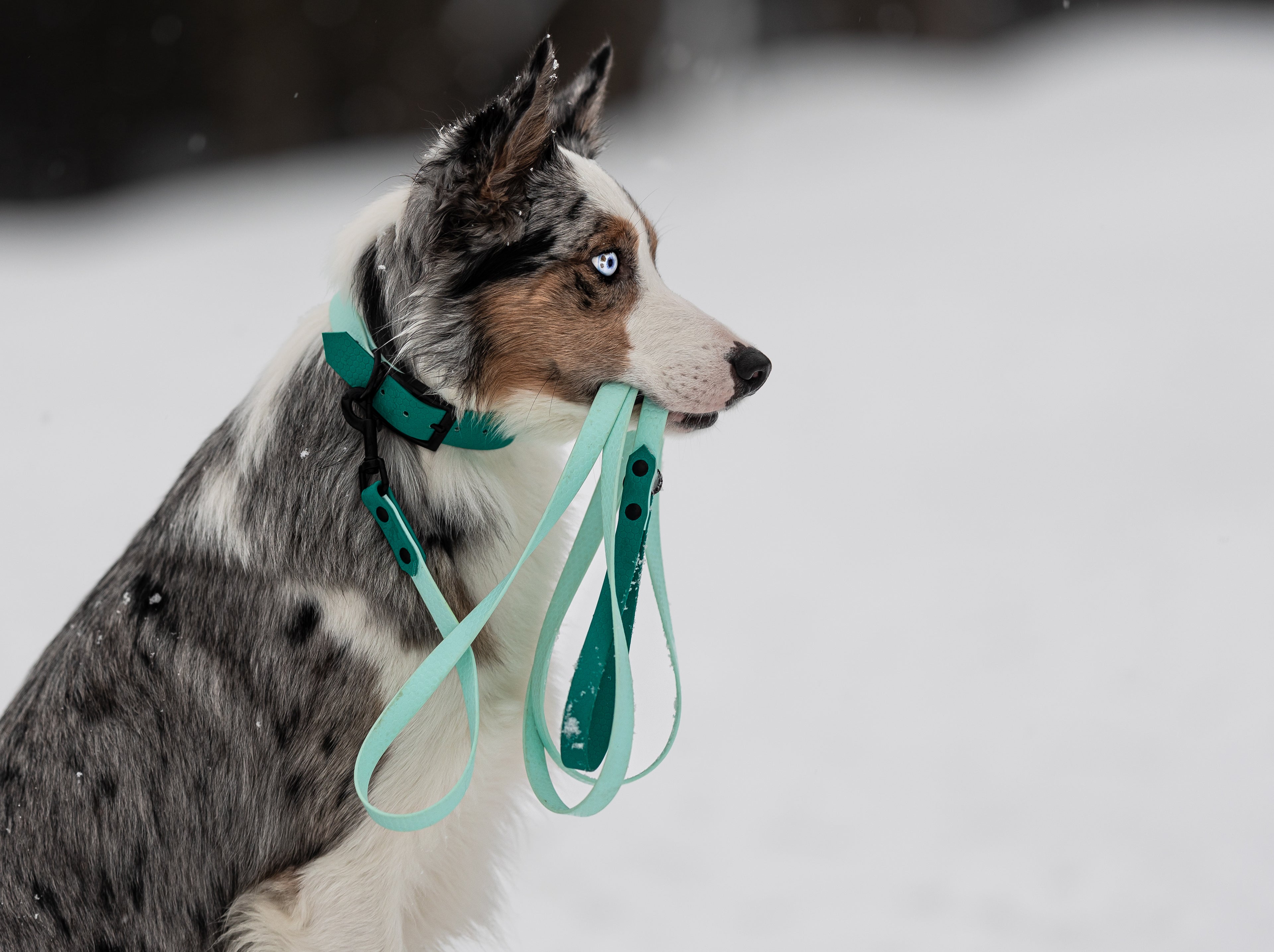 Ombrè Kobbel (LES BESKRIVELSEN)