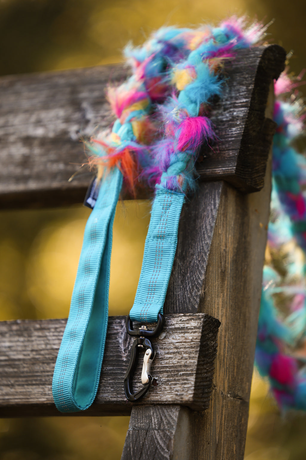 Play Leash