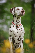 Load image into Gallery viewer, Heart Tag Collar
