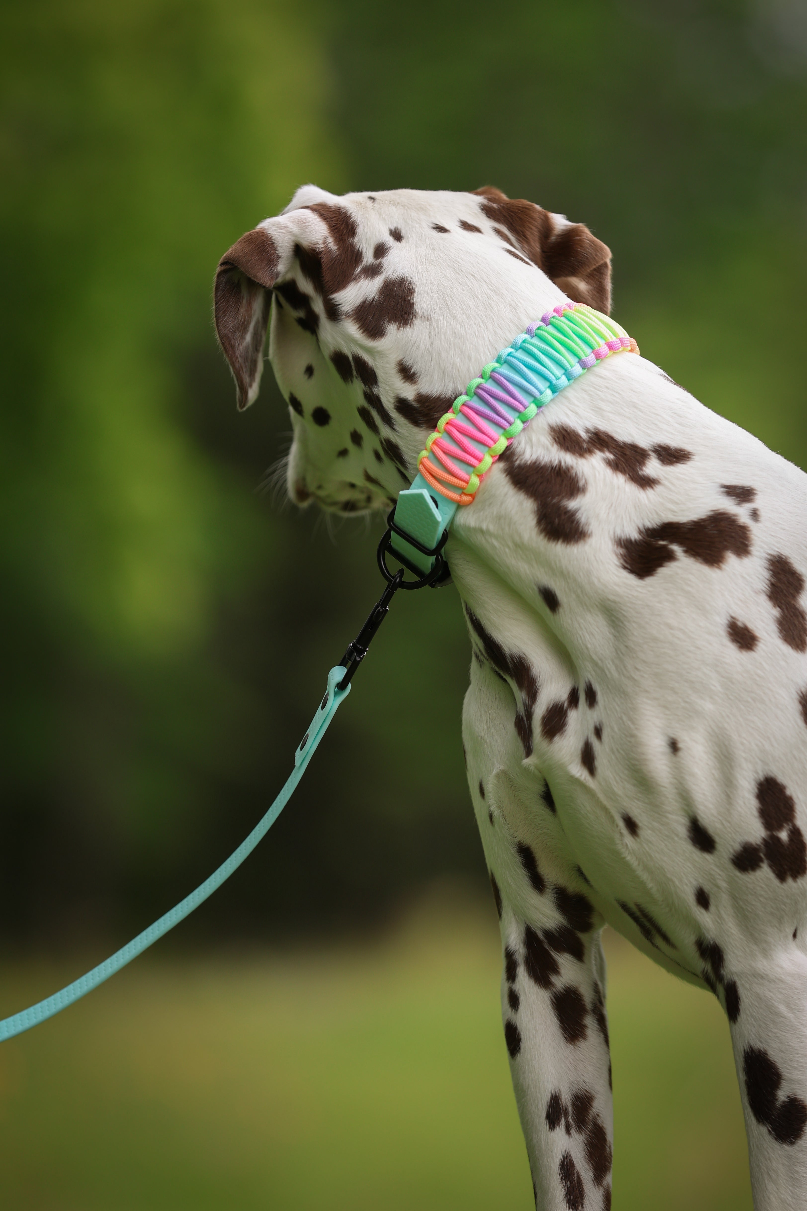 Pastel Rainbow Paracord
