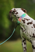 Load image into Gallery viewer, Pastel Rainbow Paracord
