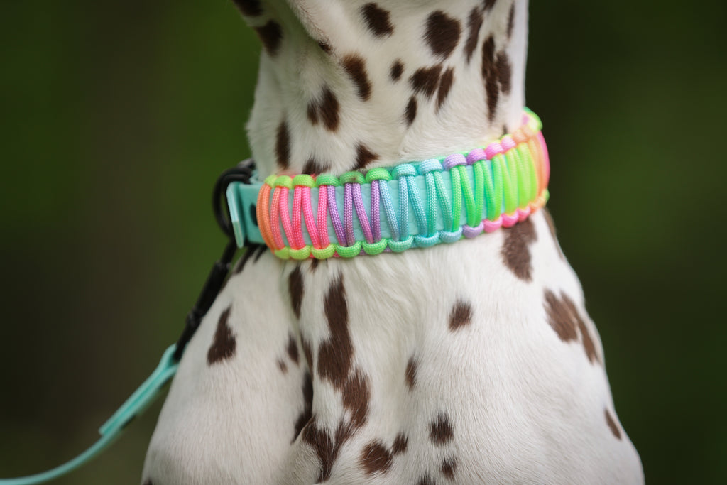 Pastel Rainbow Paracord