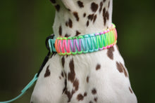 Load image into Gallery viewer, Pastel Rainbow Paracord
