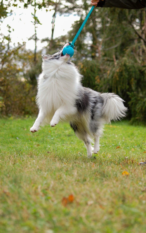 7cm Teal Foam Ball