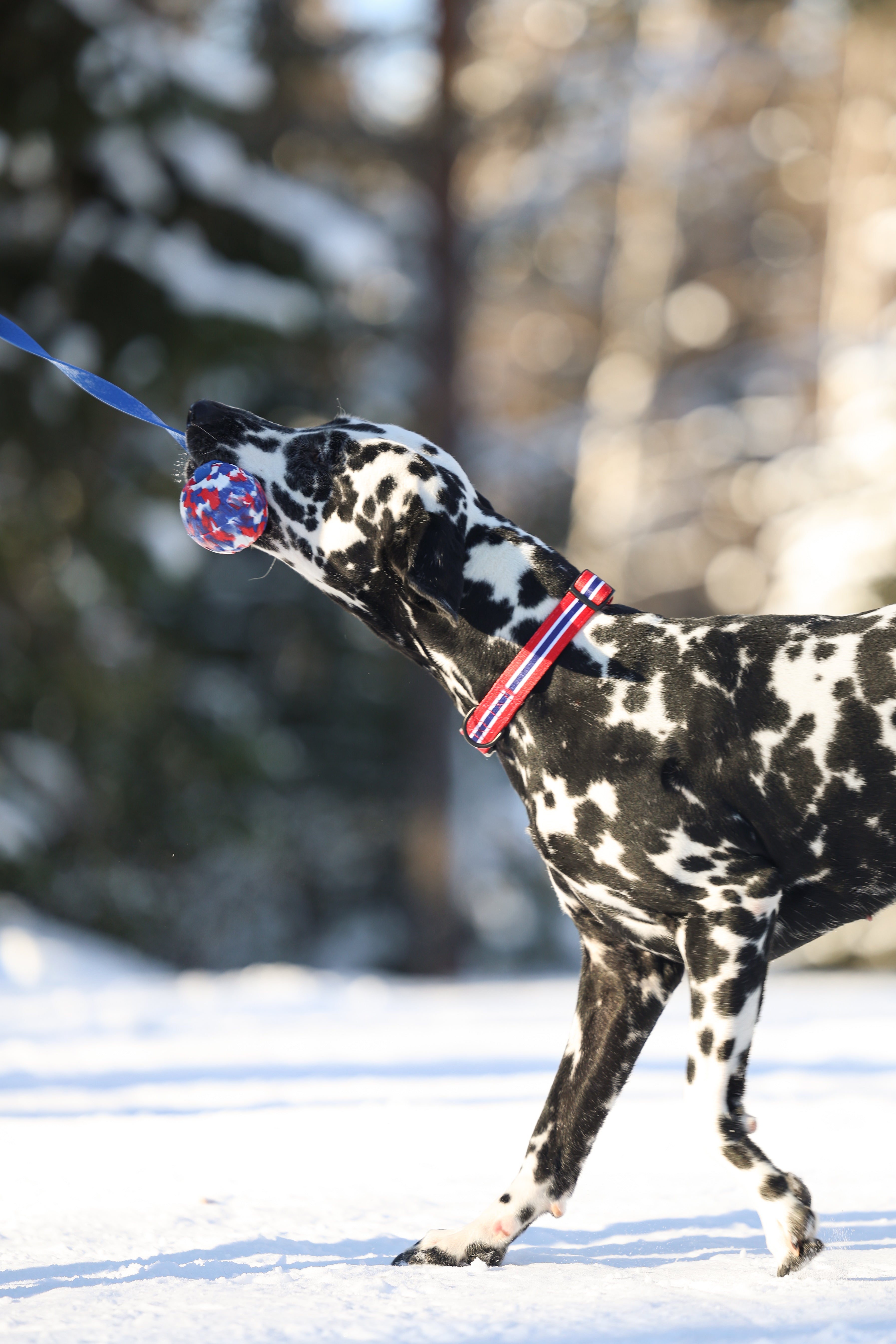 7cm National Foam Ball