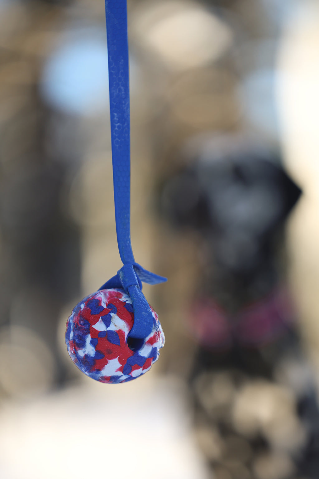 7cm National Foam Ball