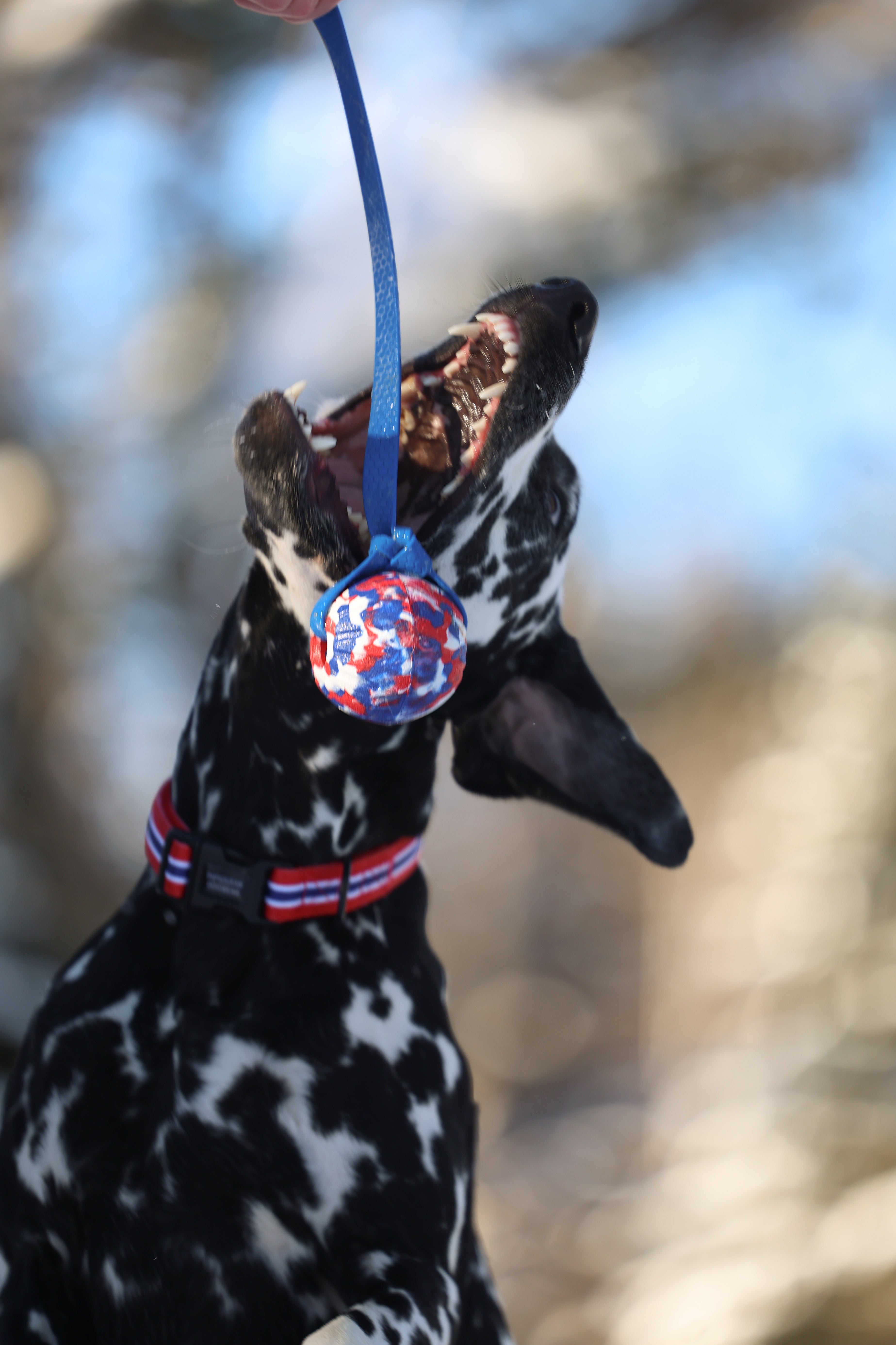 7cm National Foam Ball