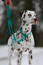 Retriver kobbel