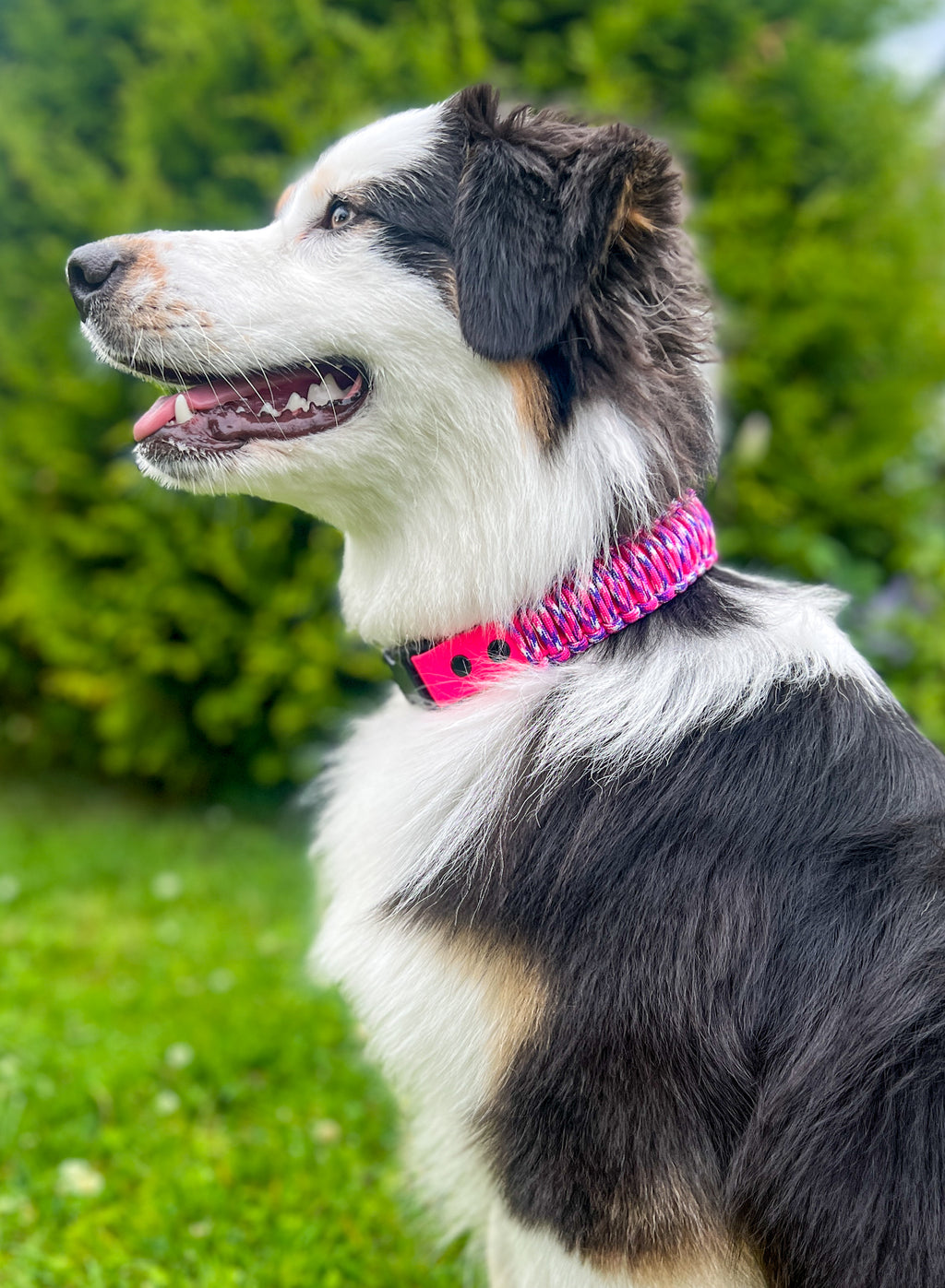 Paracord Halsbånd 38mm