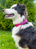 Paracord Halsbånd 38mm