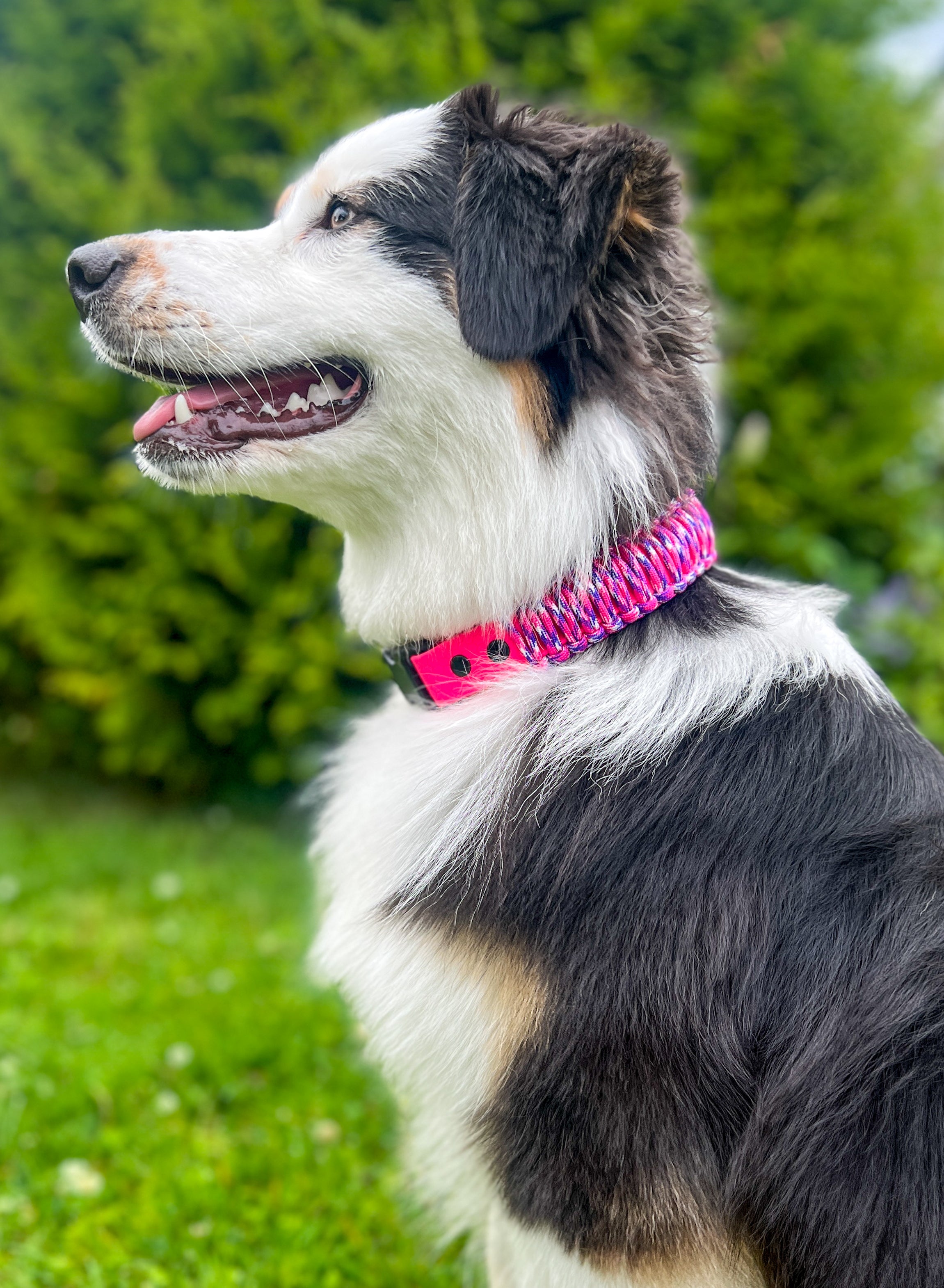 Paracord Halsbånd 38mm