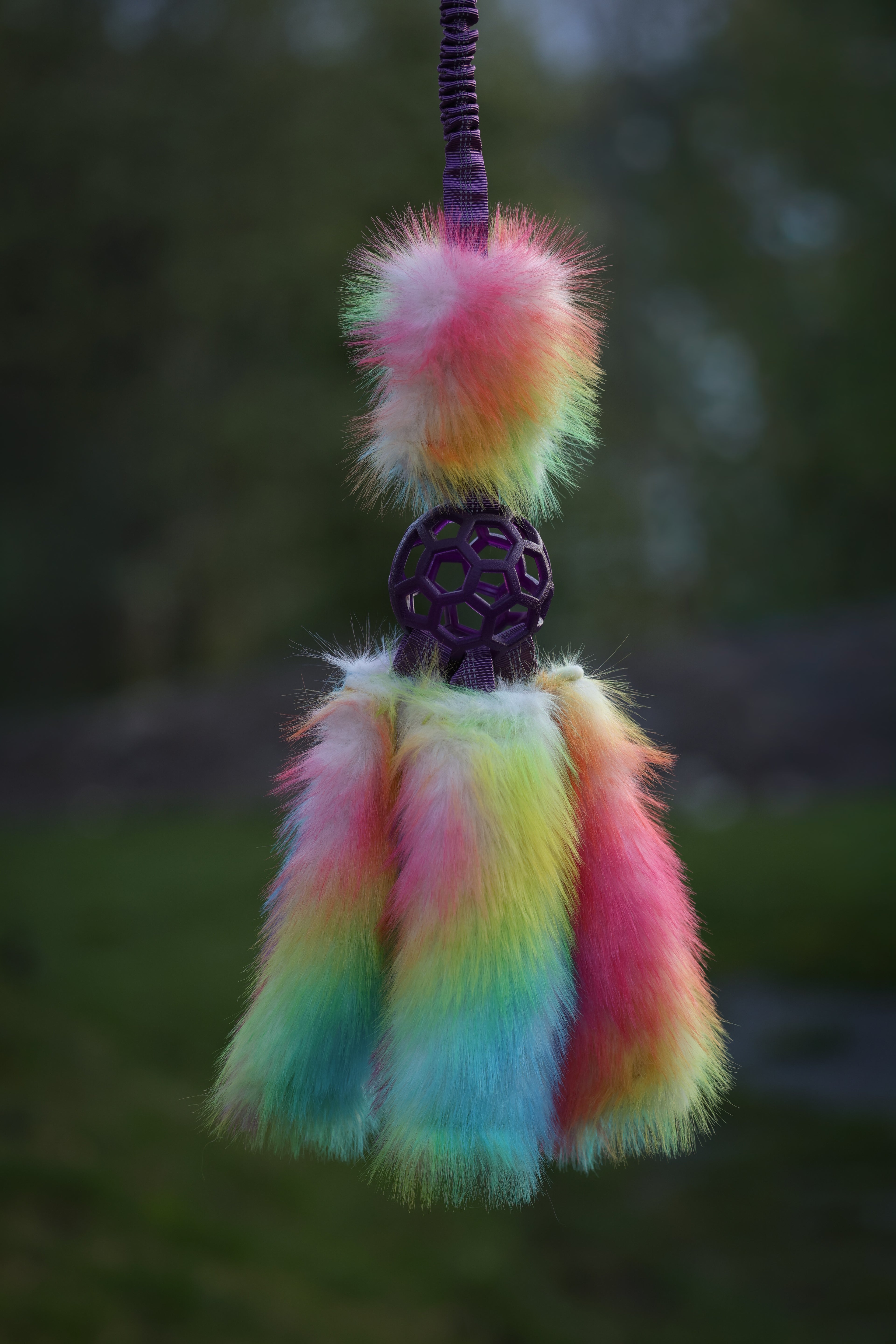 3 tail rainbow