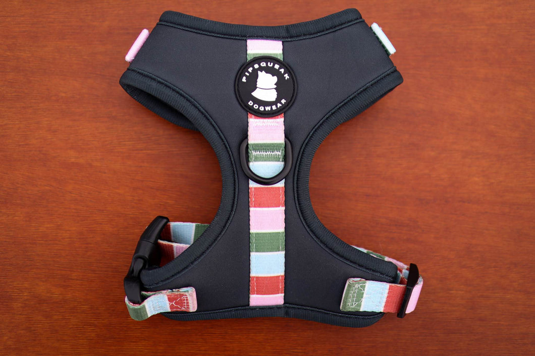 Pipsqueak Harness